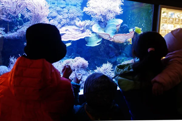 Мать Детьми Обнаруживает Наблюдает Рыбами Аквариумном Зоопарке — стоковое фото