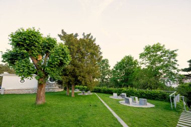 Gözlemevinde yeşil çimlerle kaplı çelik oturma yerleri.