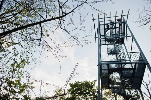 Смотровая Башня Брно Чехия Сторожевая Башня Закате Деревьями — стоковое фото