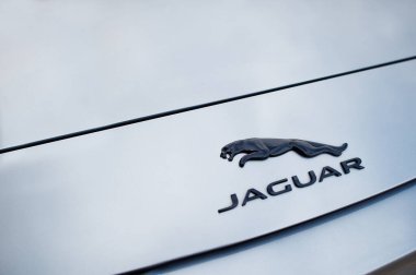Valtice, Çek Cumhuriyeti - 07 Mart 2022: Araba kaputunda Jaguar logosu.