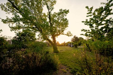 Brno, Çek Cumhuriyeti - 21 Mayıs 2022: Bir grup insan gün batımında parkta piknik yapıyor.