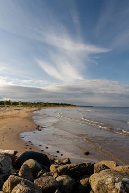 Büyülü bir güzellikte Baltık Denizi manzarası. Parlak beyaz bulutlar parlak mavi gökyüzünde oynar ve akar, ama onların altında, altın su dalgaları kıyıları siler. Önünde tarihi taşlar var. Uzakta, ormanda..
