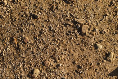 Kahverengi ve sarı gölgeli milyonlarca farklı renkte taş sarı kumla kaplıdır. Taşlar büyülü. Arkaplan dokusu. İğne ya da sonbahar yaprağı yerine.