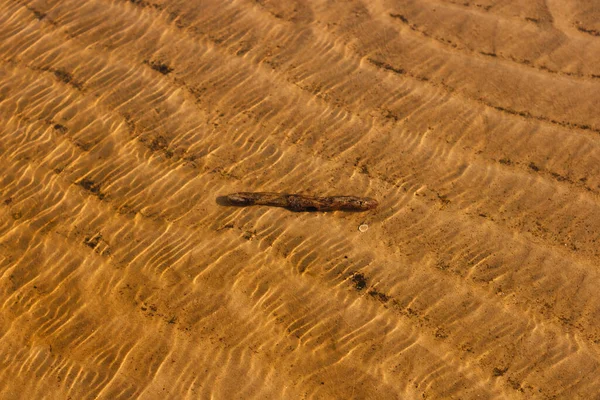 Transparentes Meerwasser Darunter Der Goldene Sand Der Ostseeküste Die Wellen — Stockfoto