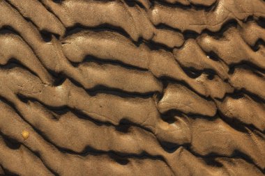 Islak deniz kumunda altın işaretler ve kum oluşumları. Deniz dalgaları ve rüzgardan oluşmuş. Sol tarafta küçük sarı bir sonbahar yaprağı var. Doğa severler için şık ve ilginç bir duvar kağıdı..