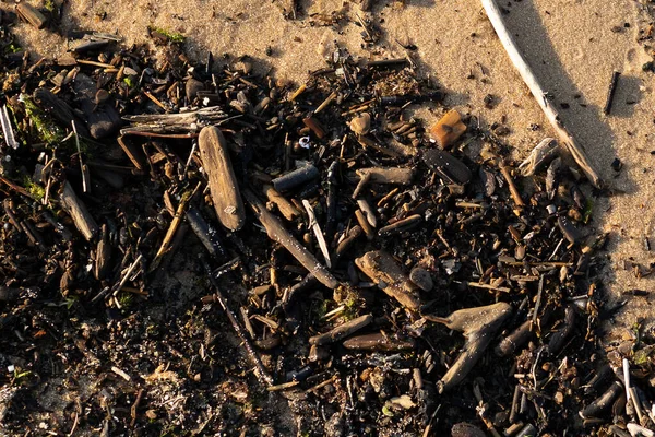 Meeresufer Goldenen Sand Wird Natürlicher Abfall Weggespült Verschiedene Rundstäbe Zweige — Stockfoto