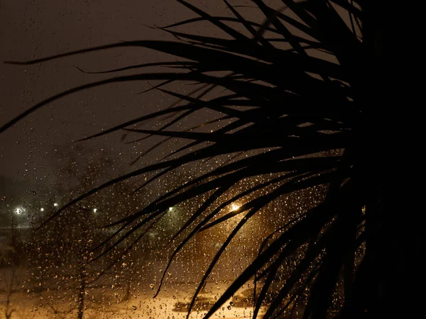 어두운 창문으로 바라봐 폭풍이 지나간 직후에 빗방울이 빛나고 있습니다 대지의 — 스톡 사진