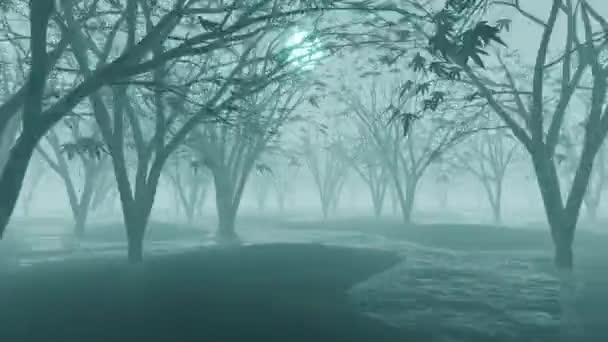 Vídeo Bosque Polvoriento Pantano Bosque Atardecer Luna Brillante Árboles Oscuros — Vídeo de stock