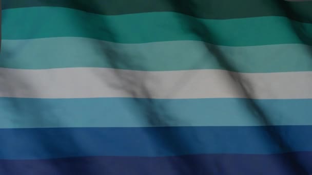 Férfiak Szeretik Zászlót Lobogtatni Szélben Mlm Szimbólum Büszkeség Zászló — Stock videók