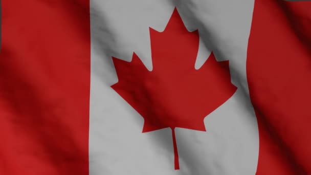 Канадський Прапор Махає Вітром Відеозапис Національному Прапорі Канади — стокове відео