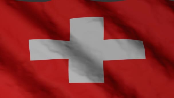 Swiss Flag Waving Wind Switzerland National Flag Video Footage — Stock Video