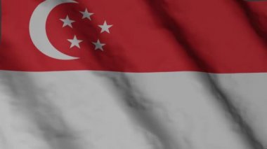 Rüzgarda sallanan Singapur bayrağı. Singapur ulusal bayrak video görüntüleri.