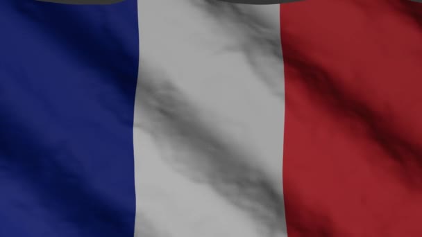 Rüzgarda Dalgalanan Fransız Bayrağı Fransa Ulusal Bayrak Video Görüntüleri — Stok video