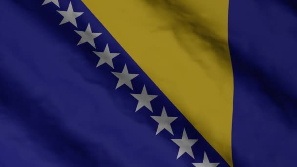 Bandera Bosnia Herzegovina Ondeando Viento Bosnia Herzegovina Imágenes Vídeo Bandera — Vídeos de Stock