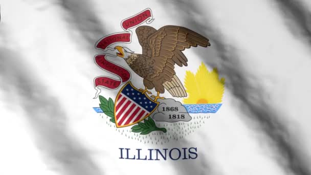 Flaga Stanu Illinois Machająca Wietrze Materiał Wideo — Wideo stockowe