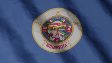 Minnesota eyalet bayrağı rüzgarda sallanıyor. Video görüntüleri.