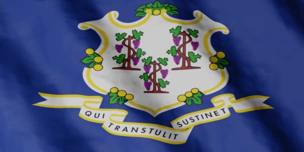 Bandera Del Estado Connecticut Ondeando Viento Imágenes Vídeo — Vídeo de stock
