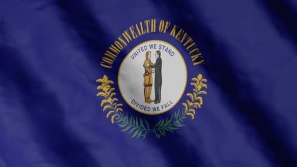 Bendera Kenegaraan Kentucky Melambai Dalam Angin Rekaman Video — Stok Video
