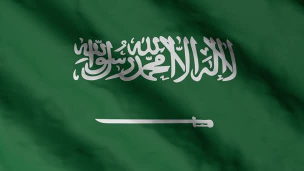 Bandeira Arábia Saudita Acenando Vento Arábia Saudita Filmagens Vídeo Bandeira — Vídeo de Stock