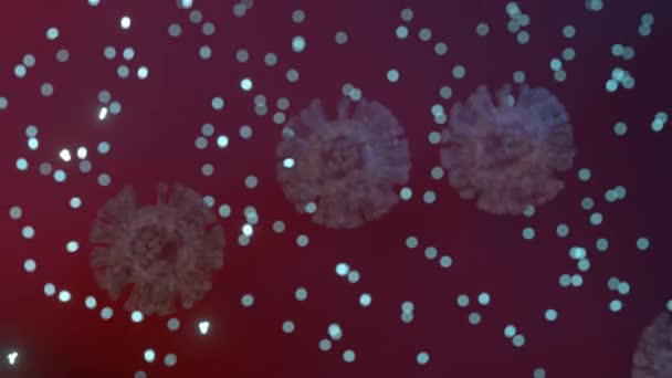 Przeciwciała Zabijają Komórki Koronawirusów Animacja Wirusa — Wideo stockowe