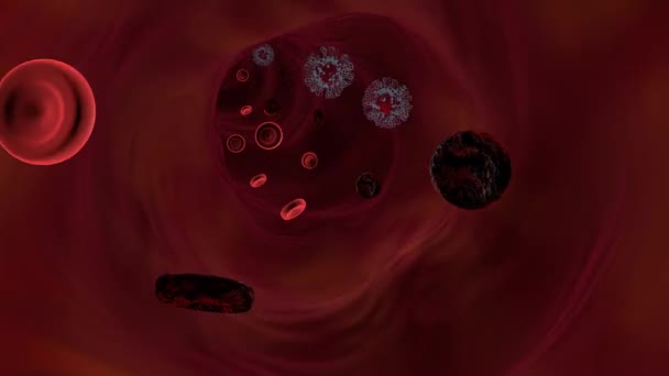 Vírus Células Sanguíneas Numa Veia Conceito Médico — Vídeo de Stock