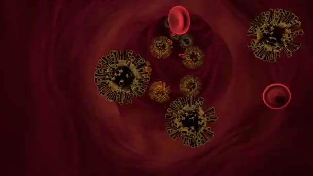 Virus Blood Cells Vein Medical Concept — Stock Video