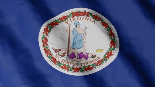 Die Flagge Des Staates Virginia Weht Wind Videomaterial — Stockvideo