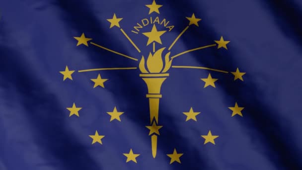 Drapeau État Indiana Agitant Vent Images Vidéo — Video