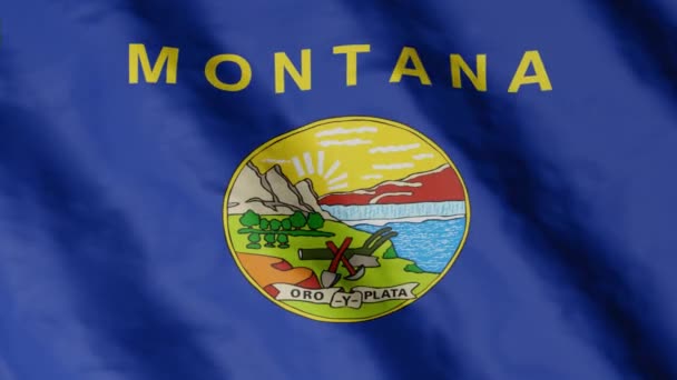 Flag State Montana Waving Wind Video Footage — Video Stock