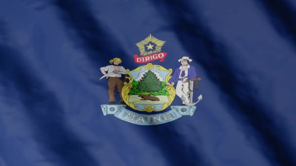 Die Flagge Des Bundesstaates Maine Weht Wind Videomaterial — Stockvideo