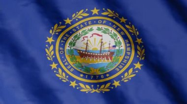 New Hampshire eyaletinin bayrağı rüzgarda sallanıyor. Video görüntüleri.