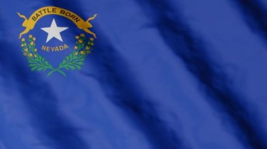 Nevada eyaletinin bayrağı rüzgarda sallanıyor. Video görüntüleri.