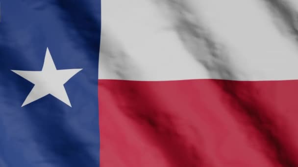 Flag State Texas Waving Wind Video Footage — стоковое видео