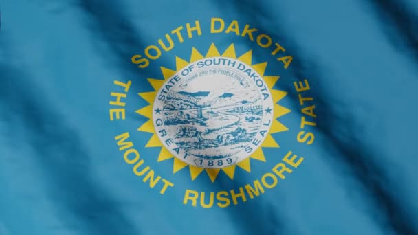 Bandeira Estado Dakota Sul Acenando Vento Imagens Vídeo — Vídeo de Stock