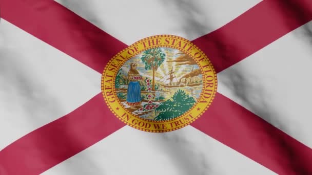 Bandera Del Estado Florida Ondeando Viento Imágenes Vídeo — Vídeos de Stock