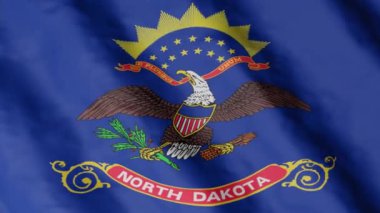 Flag of state North Dakota waving in the wind. Video footage.