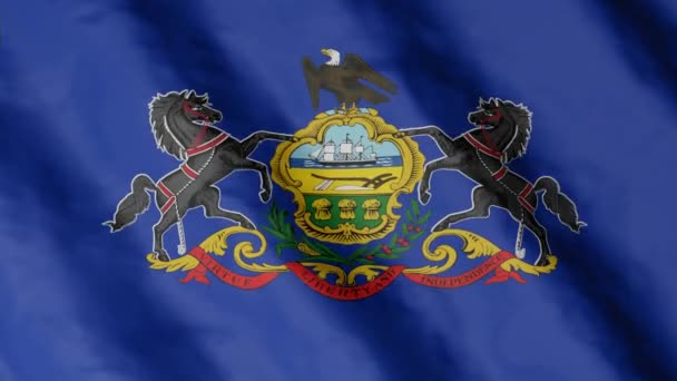Flag State Pennsylvania Waving Wind Video Footage — 图库视频影像