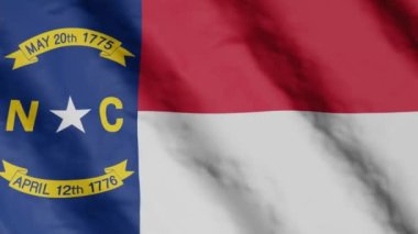 Flag of state North Carolina waving in the wind. Video footage.