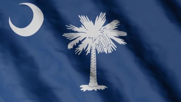 Flag State South Carolina Waving Wind Video Footage — Stockvideo