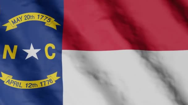 Flag State North Carolina Waving Wind Video Footage — Stockvideo