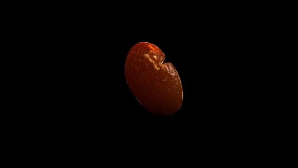 单片咖啡豆在黑色背景上的旋转 — 图库视频影像