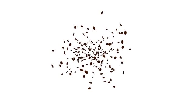 Coffee Beans Isolated White Background Coffee Explosion Falling — Stock Video