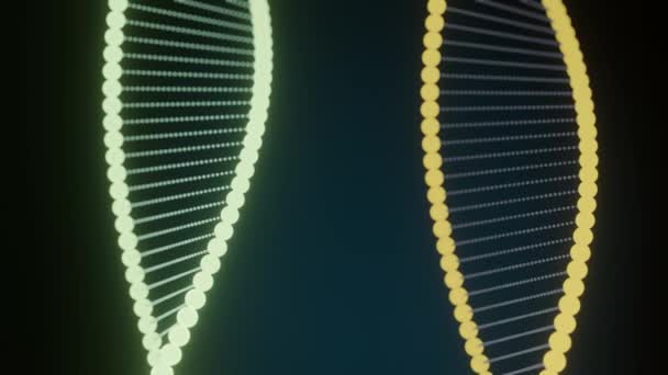 Vídeo Cadena Adn Genética Concepto Médico Tecnológico — Vídeos de Stock
