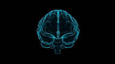 Human brain hologram. Transparent 3D model of human organ on black background. Medicine technology concept.