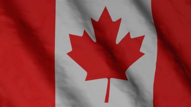 Canadian national flag. State flag of Canada illustration. National Flag.