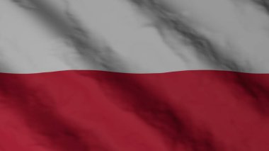 Polish flag. Poland flag fluttering in the wind. National flag.