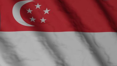 Singaporean national flag. State flag of Singapore illustration. National flag.