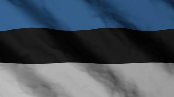 Estonian National Flag State Flag Estonia Illustration National Flag — Fotografia de Stock