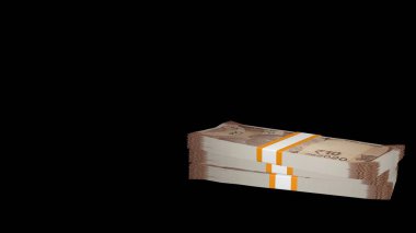 10 Indian rupees money composition. Financial background. Many banknotes and wads of money. Business or economy concept. Cash.