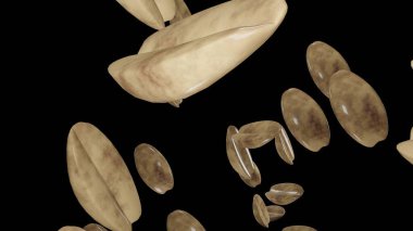 Many peanut on black background. Nuts. A lot of nuts.